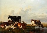 Meadows Canvas Paintings - Cattle and Sheep Probably in Canterbury Meadows